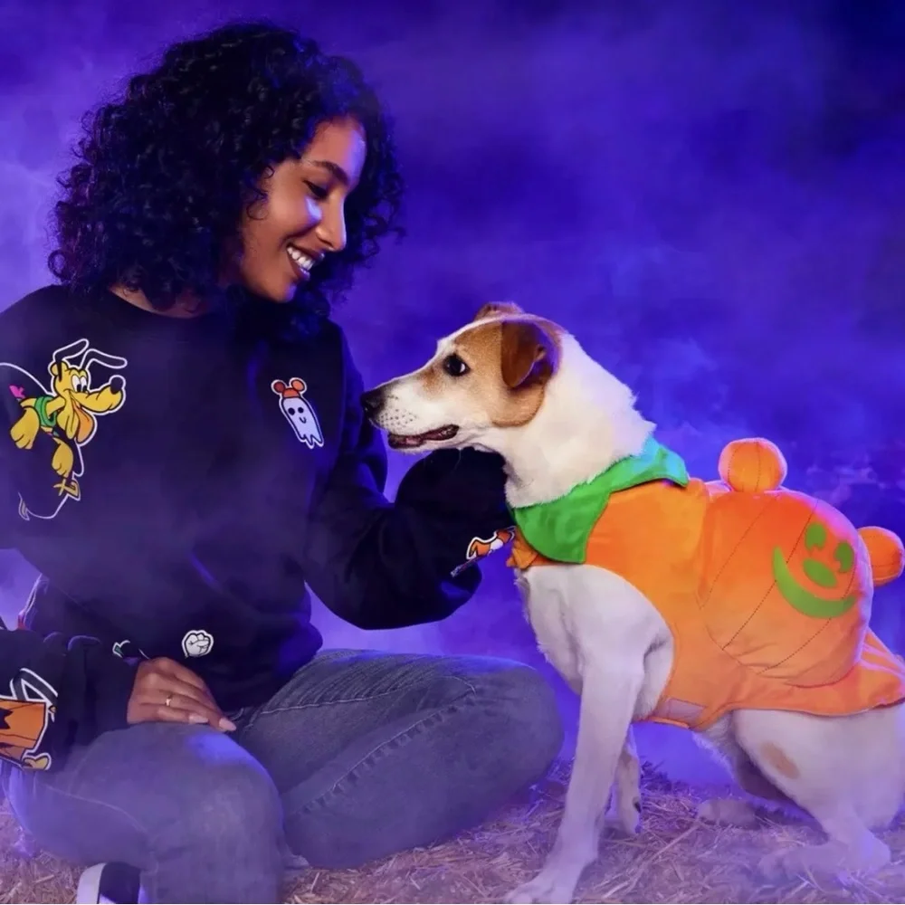 Disney Parks Mickey Jack O Lantern Pumpkin Glow in The Dark Dog Costume Medium
